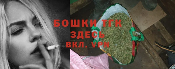 шишки Горно-Алтайск