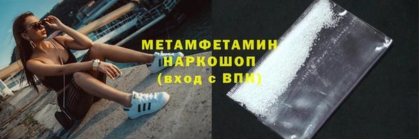 шишки Гусев