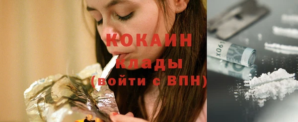 шишки Горно-Алтайск