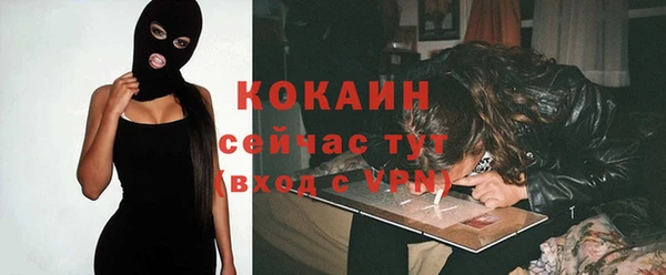 шишки Горно-Алтайск