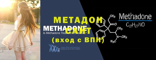 шишки Гусев