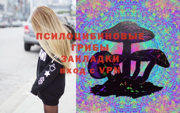 шишки Гусев