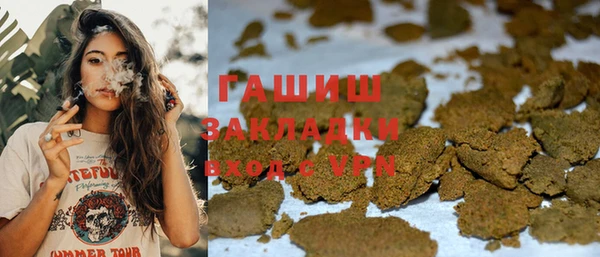 шишки Гусев