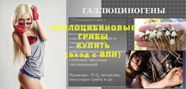 шишки Гусев