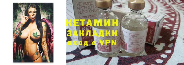 шишки Горно-Алтайск