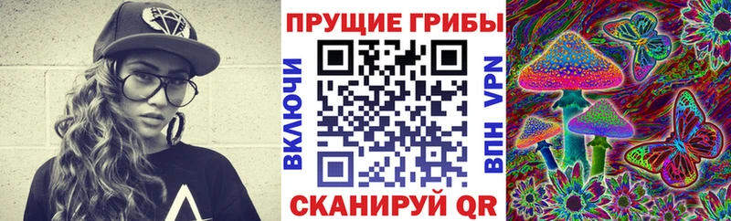 Псилоцибиновые грибы GOLDEN TEACHER  где продают наркотики  ссылка на мегу ссылки  Болхов 